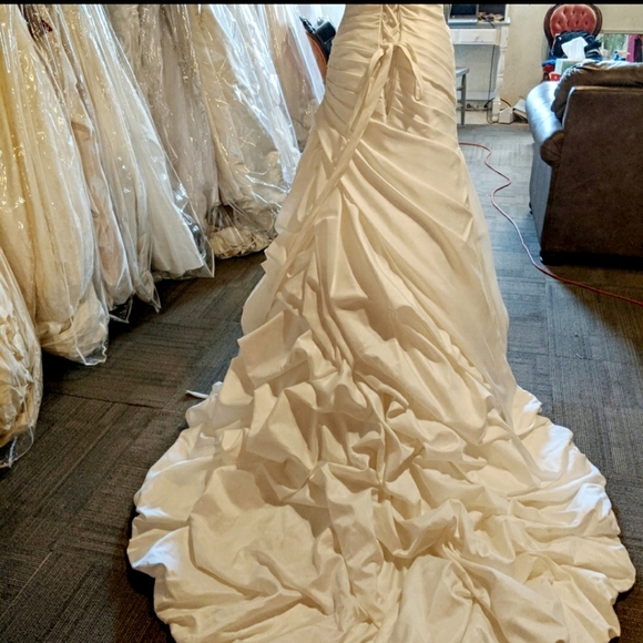 Ella Claire Wedding Bridal Gown - Picture 5 of 5